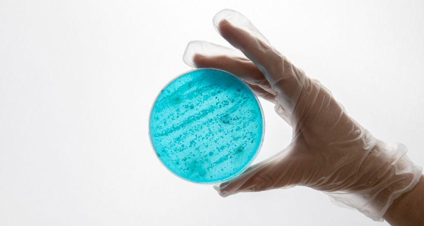 Rapid Micro Methods (RMM) in EM in the Pharmaceutical Cleanroom Industry